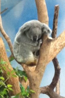 Photo by : Stephen K Johnson